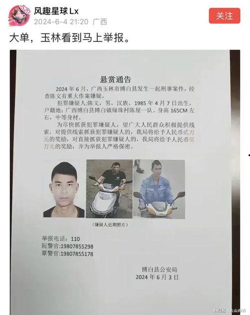 全南爆料嫌疑人最新消息,嫌疑人最新动向及案件进展揭秘